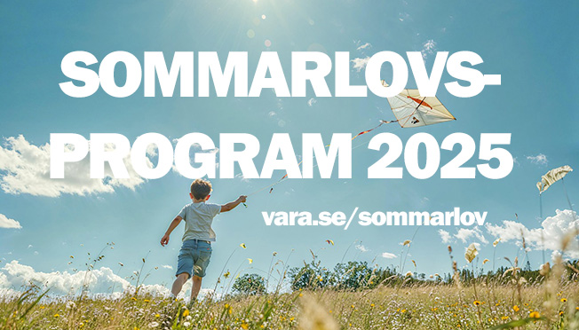 Pojke på en äng flyger med en drake. I bilden står det sommarlovsprogram 2025