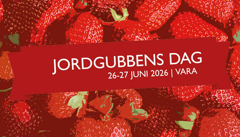 Bakgrund på illustrerade jordgubbar med logotyp Jordgubbens dag 26-27 juni 2026 i Vara.